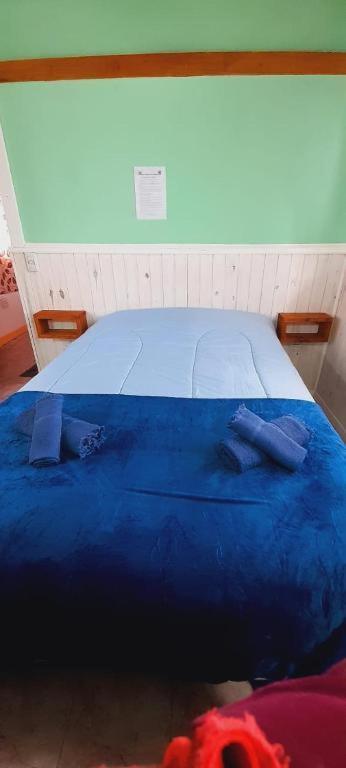 אל צ'אלטן Hostel Cerro Torres מראה חיצוני תמונה